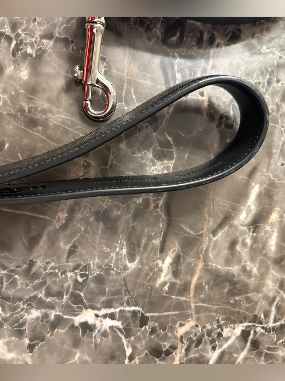 Coach Black Leather Dog Leash with Silver Hardware